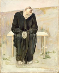 Den desillusjonerte